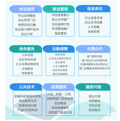 就業新航向 銷售與技術服務咨詢的雙軌并行
