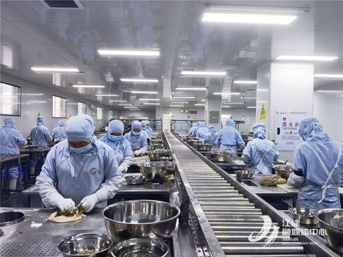 奏響高質量發展三部曲，白沙工業園唱響食品及農產品加工最強音